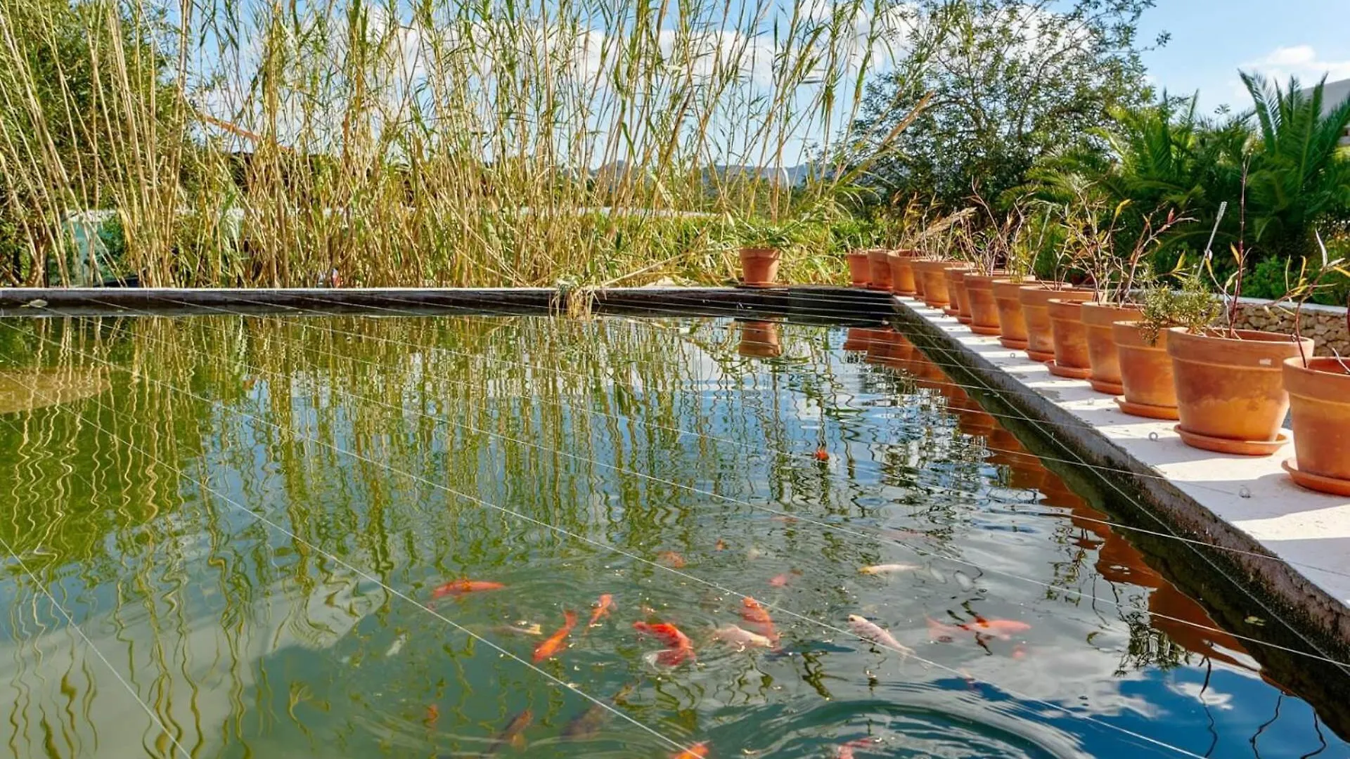 Villa Munt Blanc Ibiza Puig D'en Valls