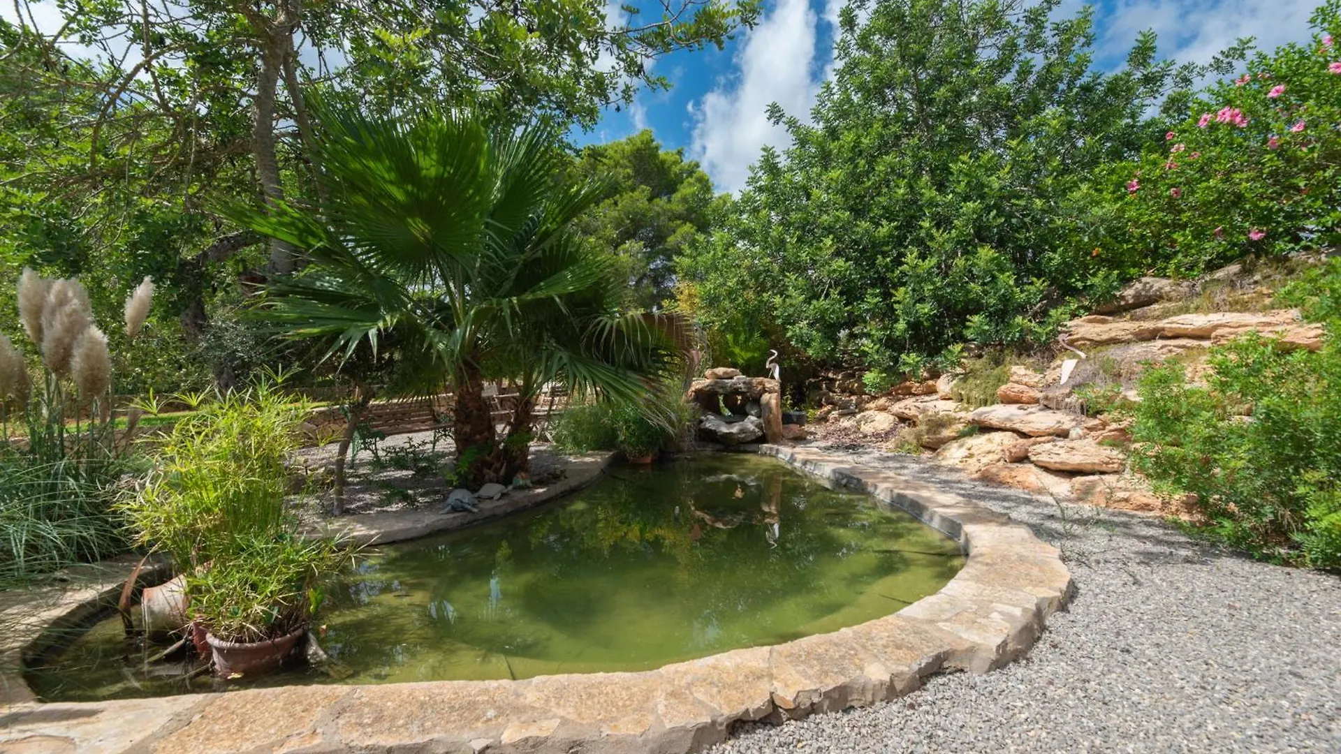 Villa Munt Blanc Ibiza Puig D'en Valls Hiszpania